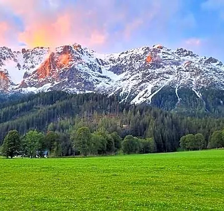 Stierer Ramsau am Dachstein