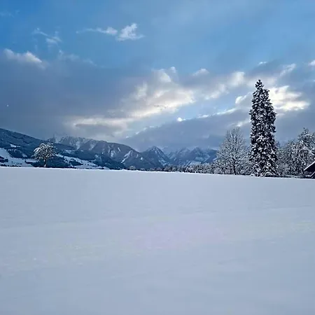 Stierer Hotel Ramsau am Dachstein