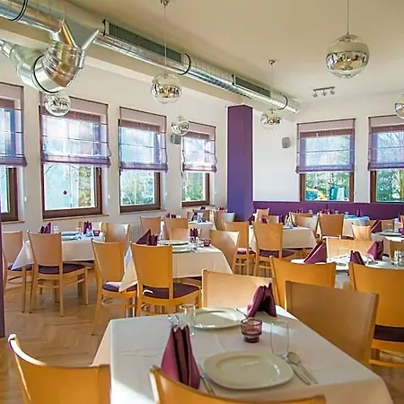 Hotel Stierer Ramsau am Dachstein