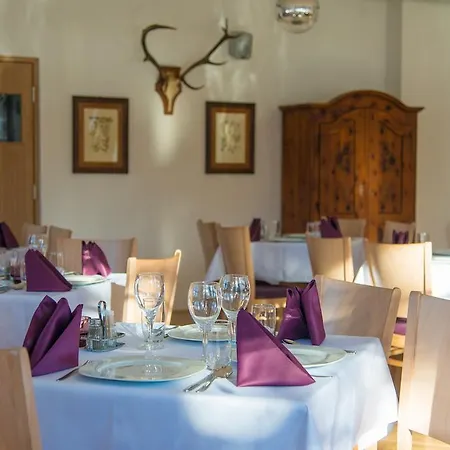 Stierer Ramsau am Dachstein