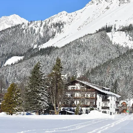 Stierer Ramsau am Dachstein