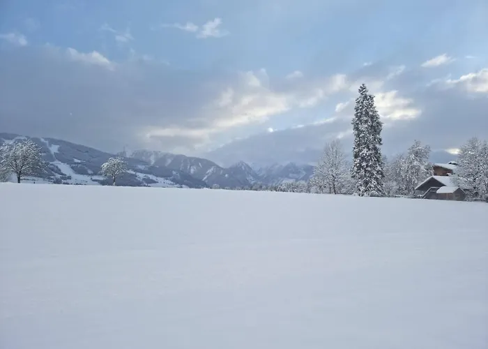 Отель Stierer 3*